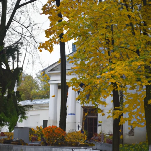 Прогулки по старинным памятникам и природным объектам города.